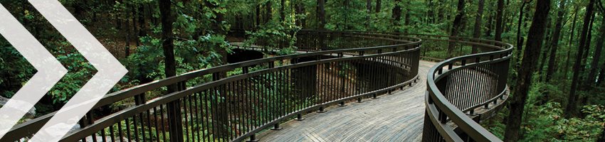 Bridge path winding through forest.